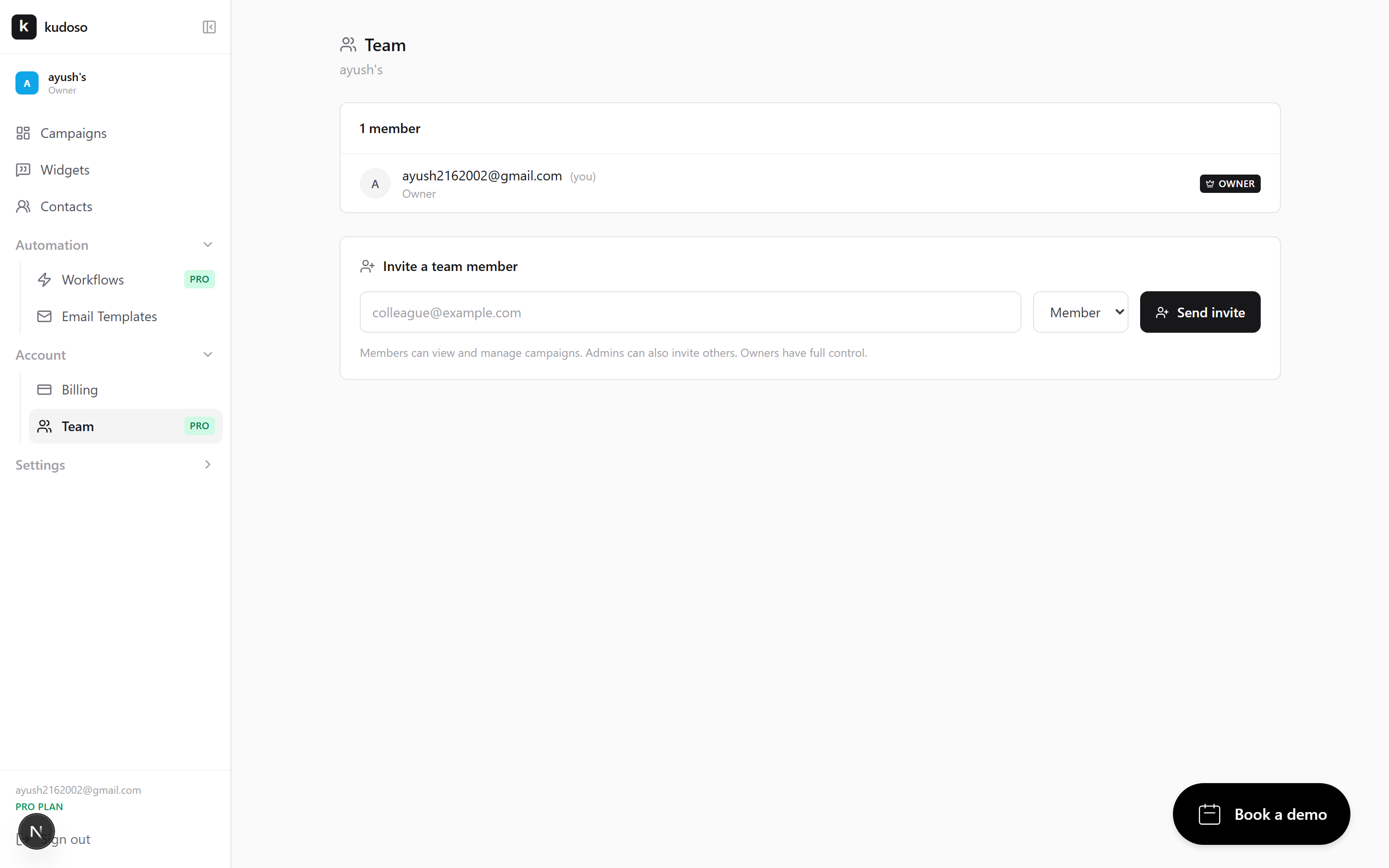 The team page showing members and pending invitations.